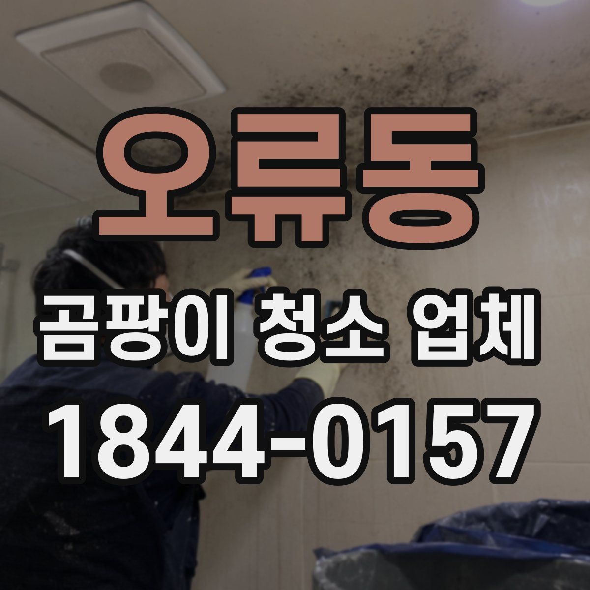 오류동 곰팡이 청소 업체