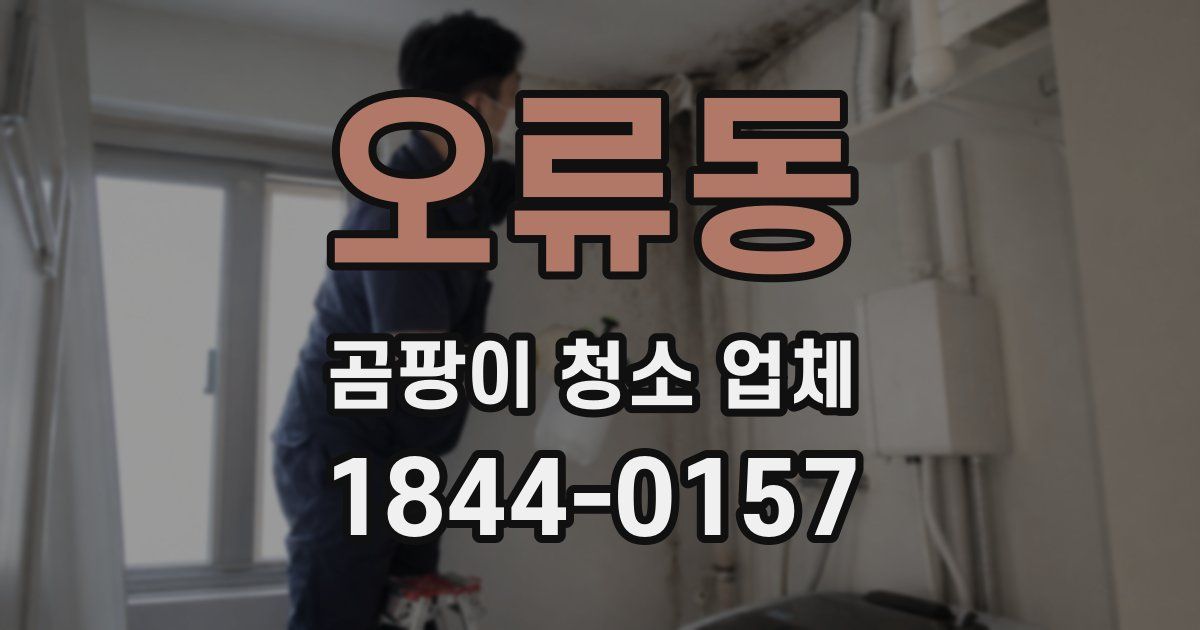 오류동 곰팡이 청소 업체