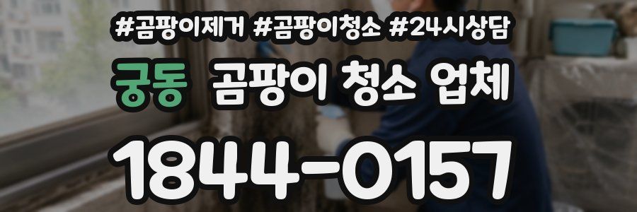 궁동 곰팡이 청소 업체