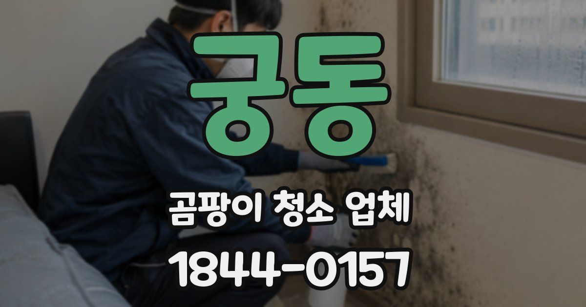 궁동 곰팡이 청소 업체