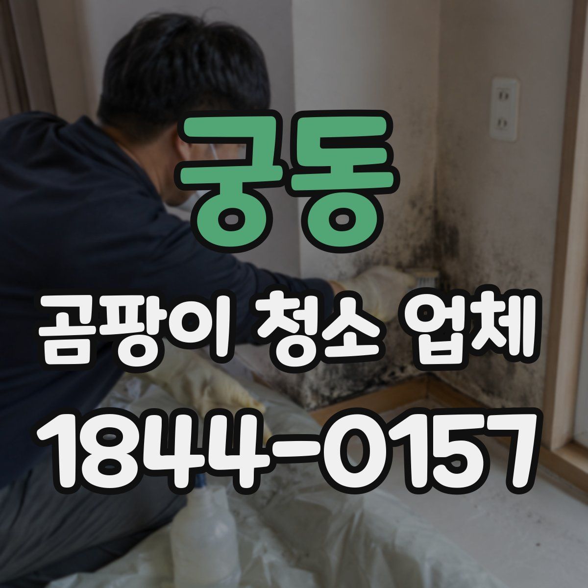 궁동 곰팡이 청소 업체