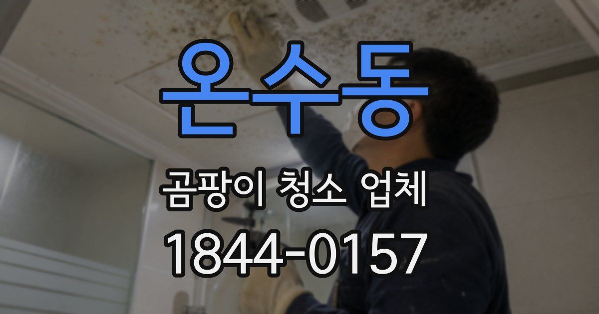 온수동 곰팡이 청소 업체