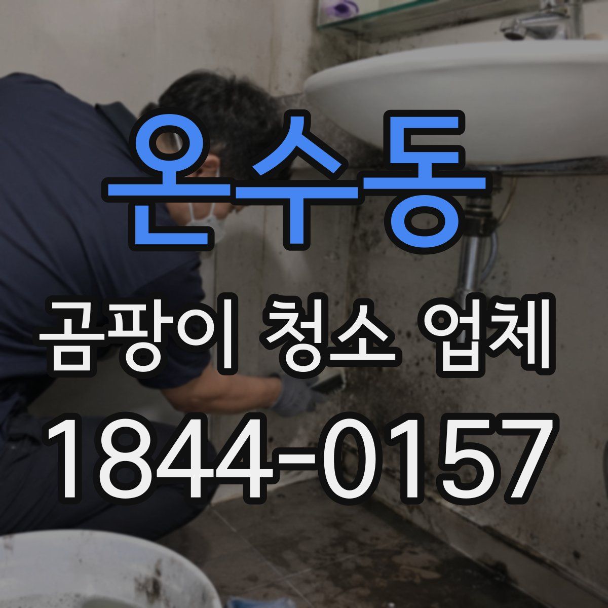 온수동 곰팡이 청소 업체