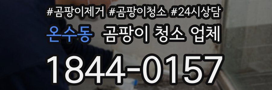 온수동 곰팡이 청소 업체