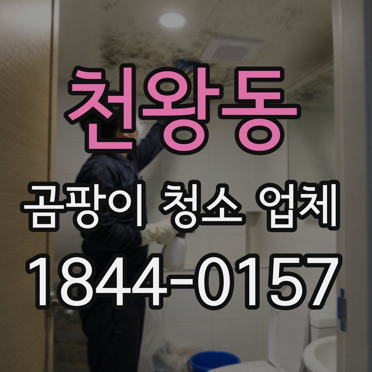 천왕동 곰팡이 청소 업체