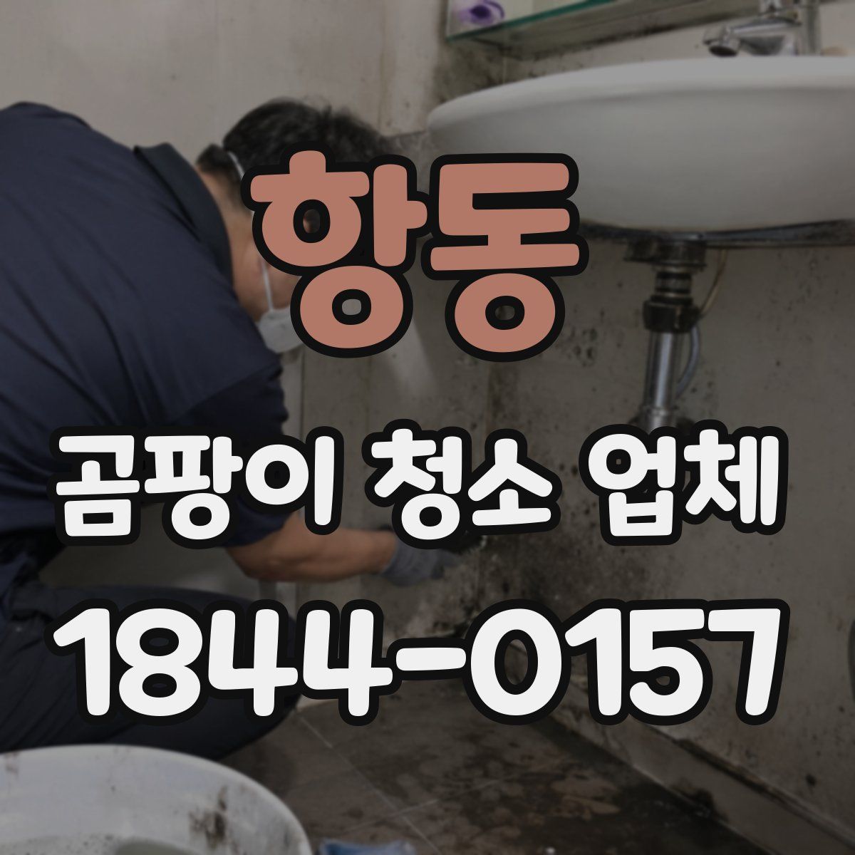 항동 곰팡이 청소 업체