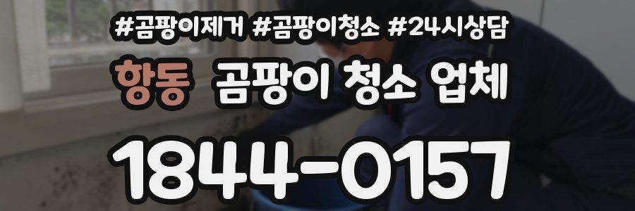 항동 곰팡이 청소 업체