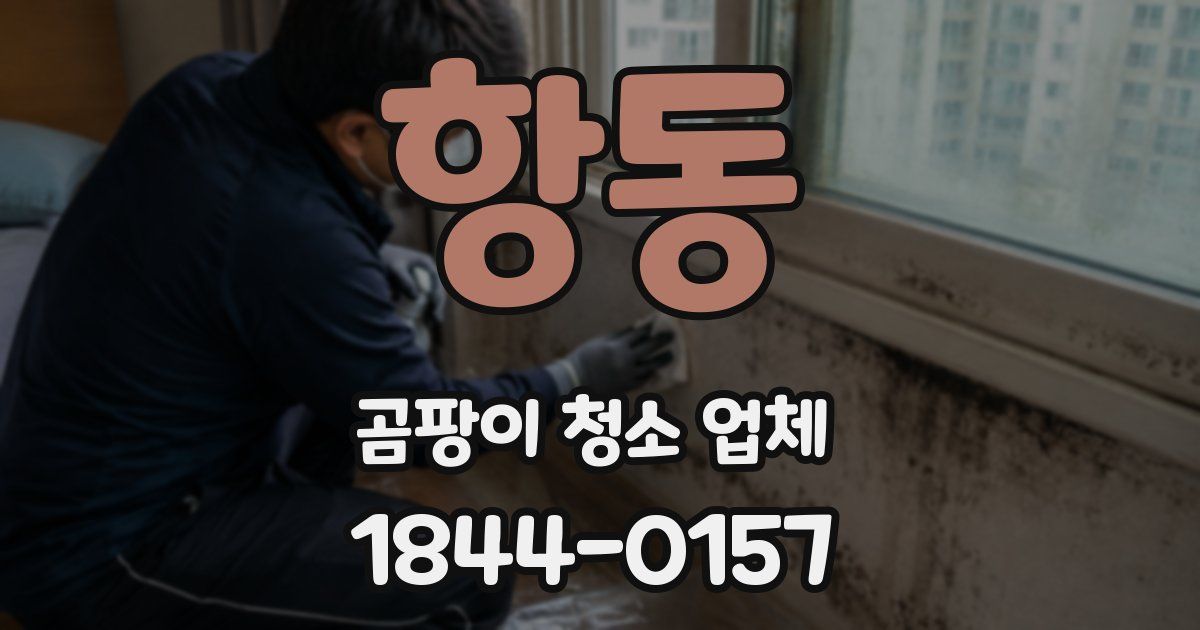 항동 곰팡이 청소 업체