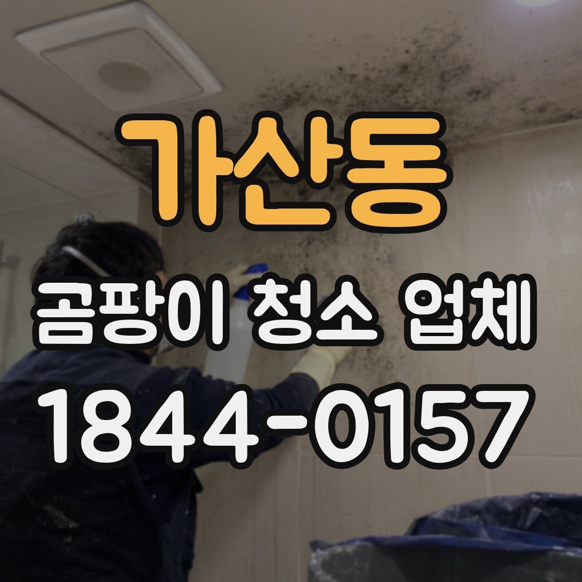 가산동 곰팡이 청소 업체 세탁에 대응되는 자재와 불가 자재를 나누는 기준