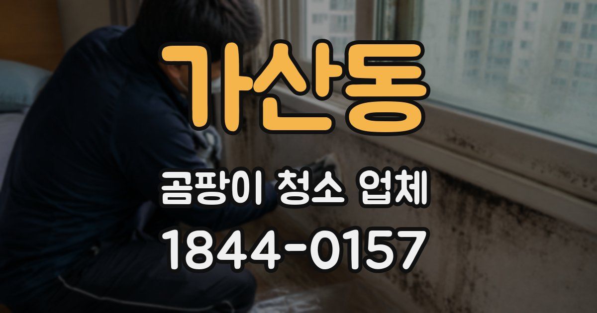 가산동 곰팡이 청소 업체
