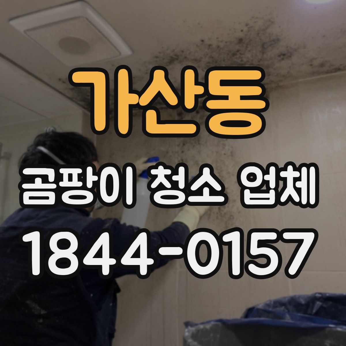 가산동 곰팡이 청소 업체