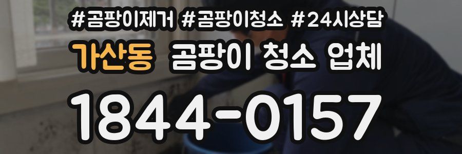 가산동 곰팡이 청소 업체