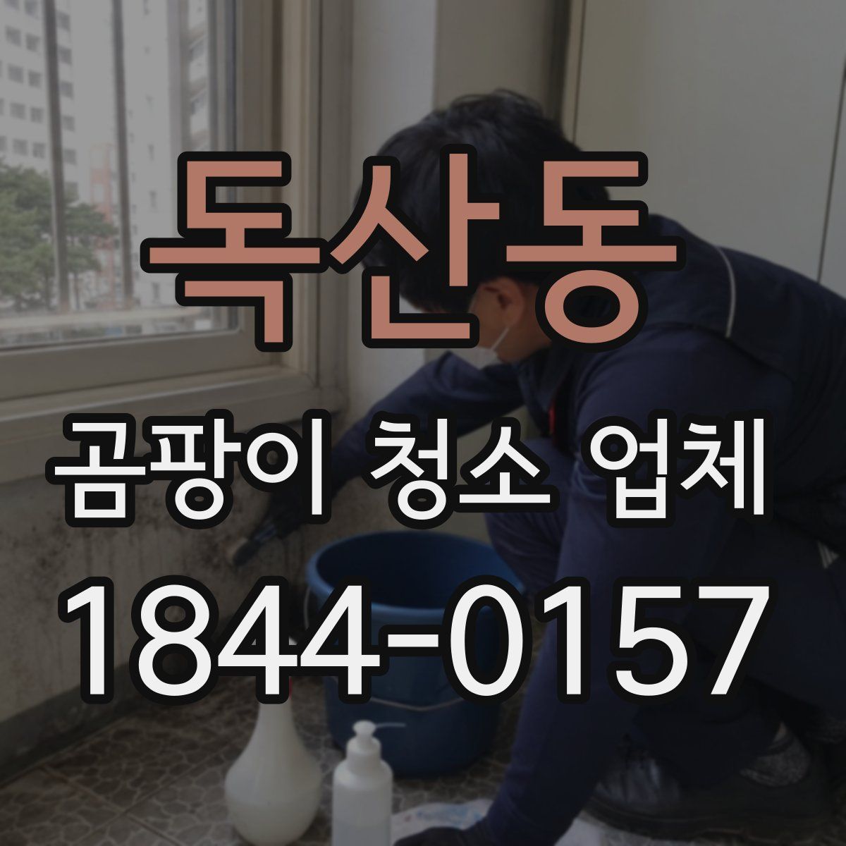 독산동 곰팡이 청소 업체