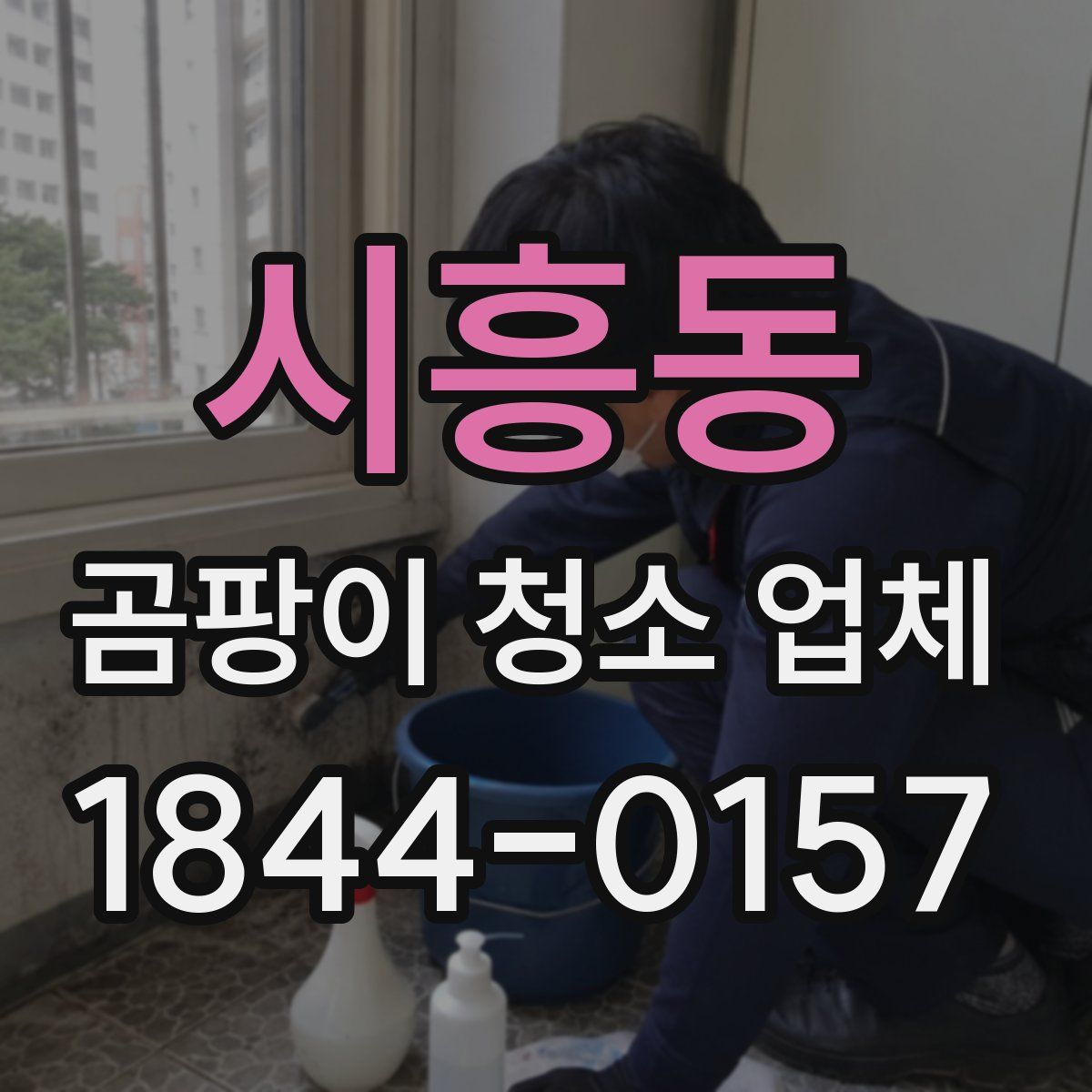 시흥동 곰팡이 청소 업체