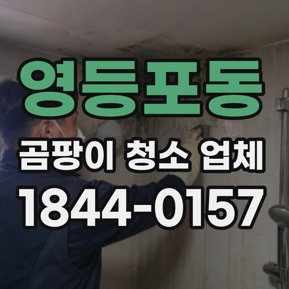 영등포동 곰팡이 청소 업체