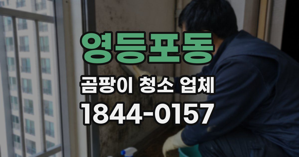 영등포동 곰팡이 청소 업체
