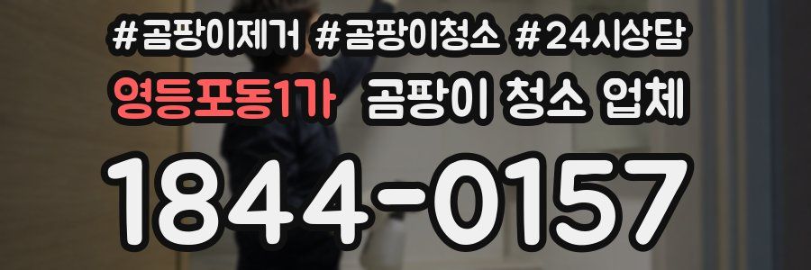 영등포동1가 곰팡이 청소 업체