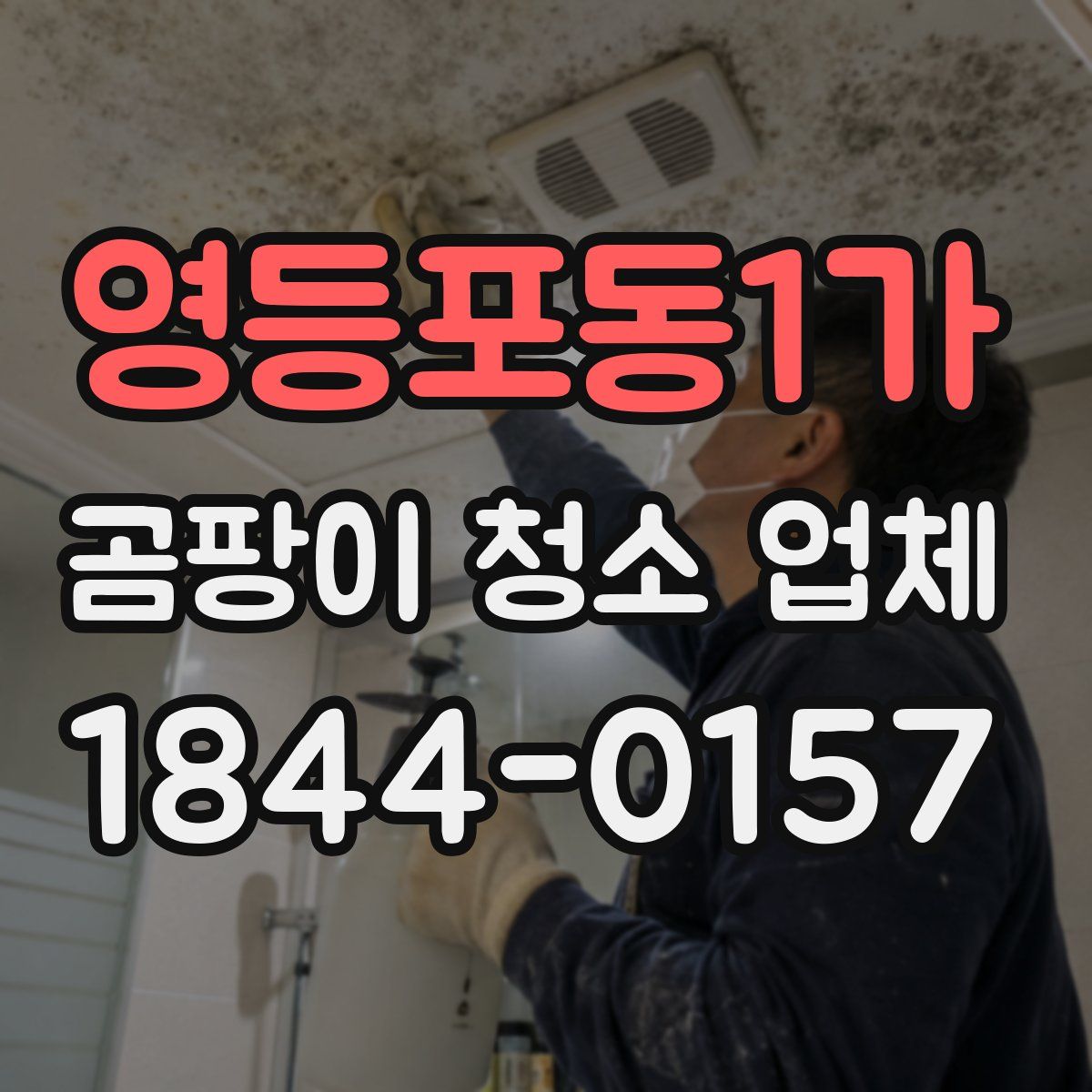 영등포동1가 곰팡이 청소 업체