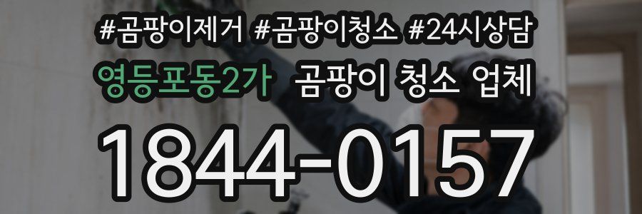 영등포동2가 곰팡이 청소 업체