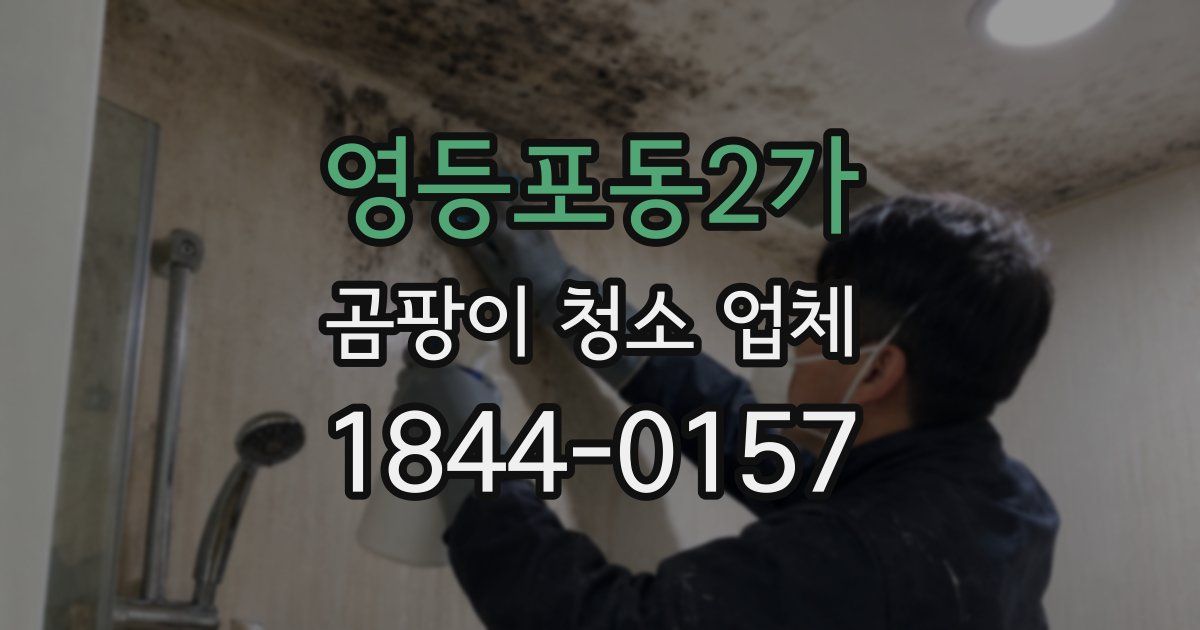 영등포동2가 곰팡이 청소 업체