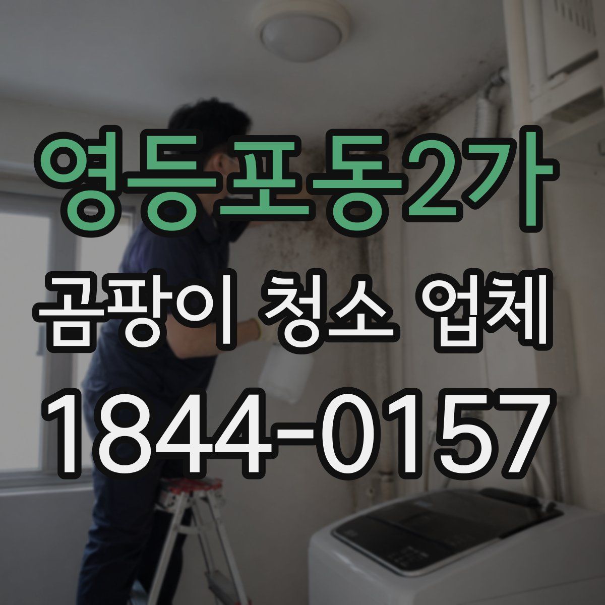 영등포동2가 곰팡이 청소 업체