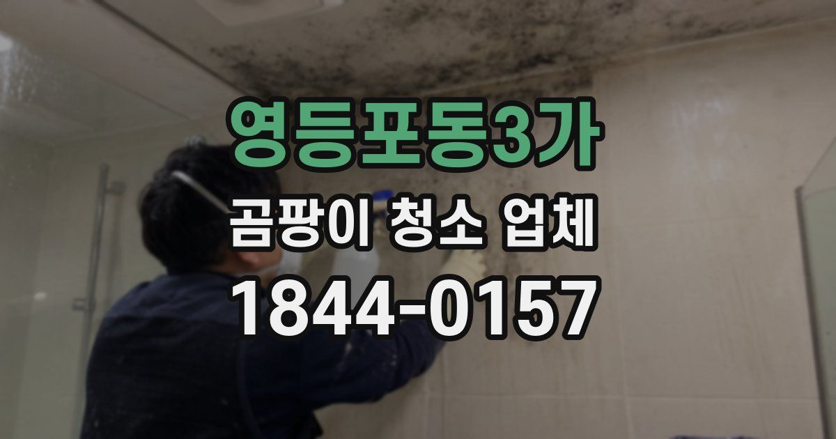 영등포동3가 곰팡이 청소 업체