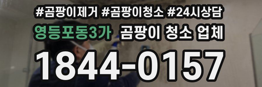 영등포동3가 곰팡이 청소 업체