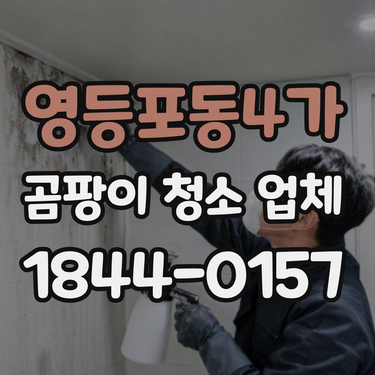 영등포동4가 곰팡이 청소 업체