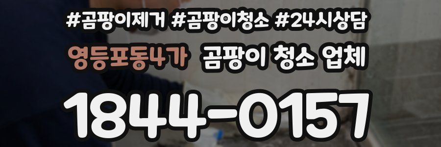 영등포동4가 곰팡이 청소 업체