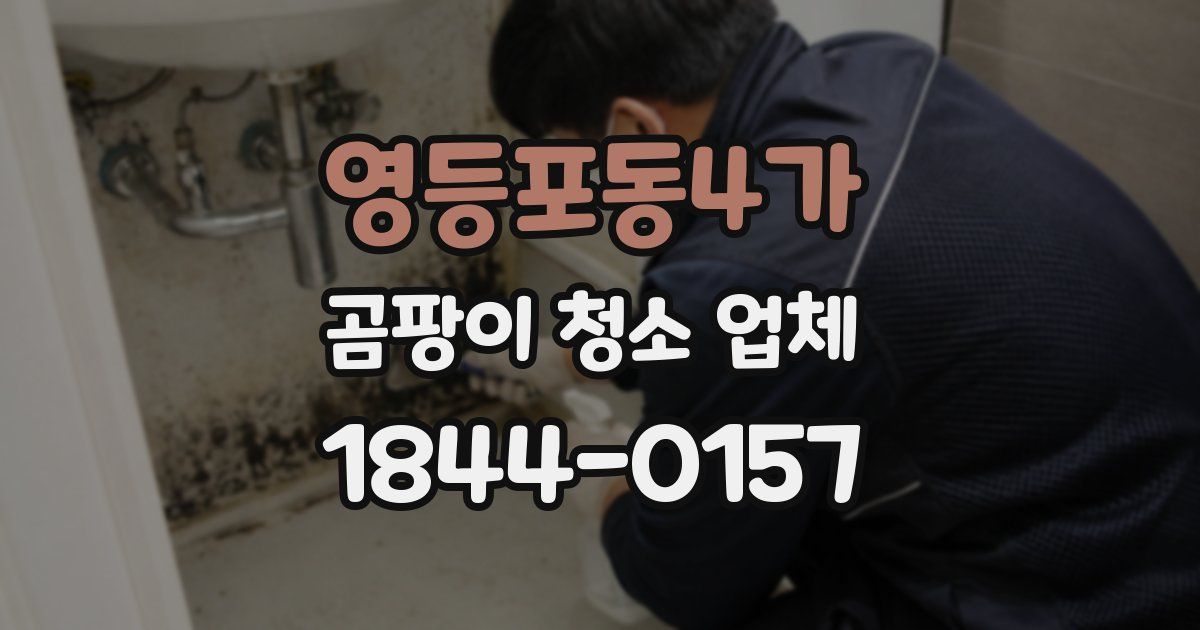 영등포동4가 곰팡이 청소 업체