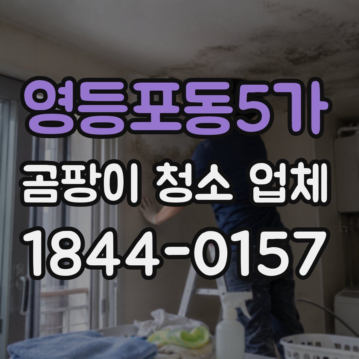 영등포동5가 곰팡이 청소 업체
