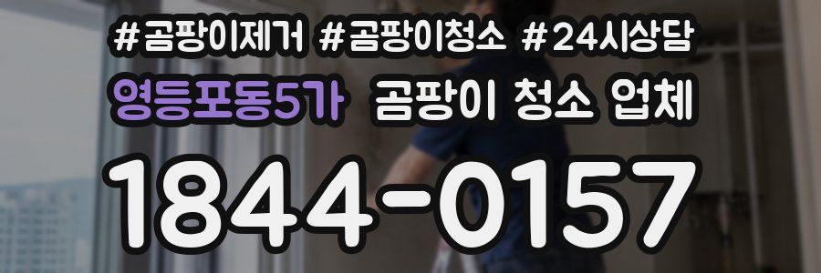 영등포동5가 곰팡이 청소 업체
