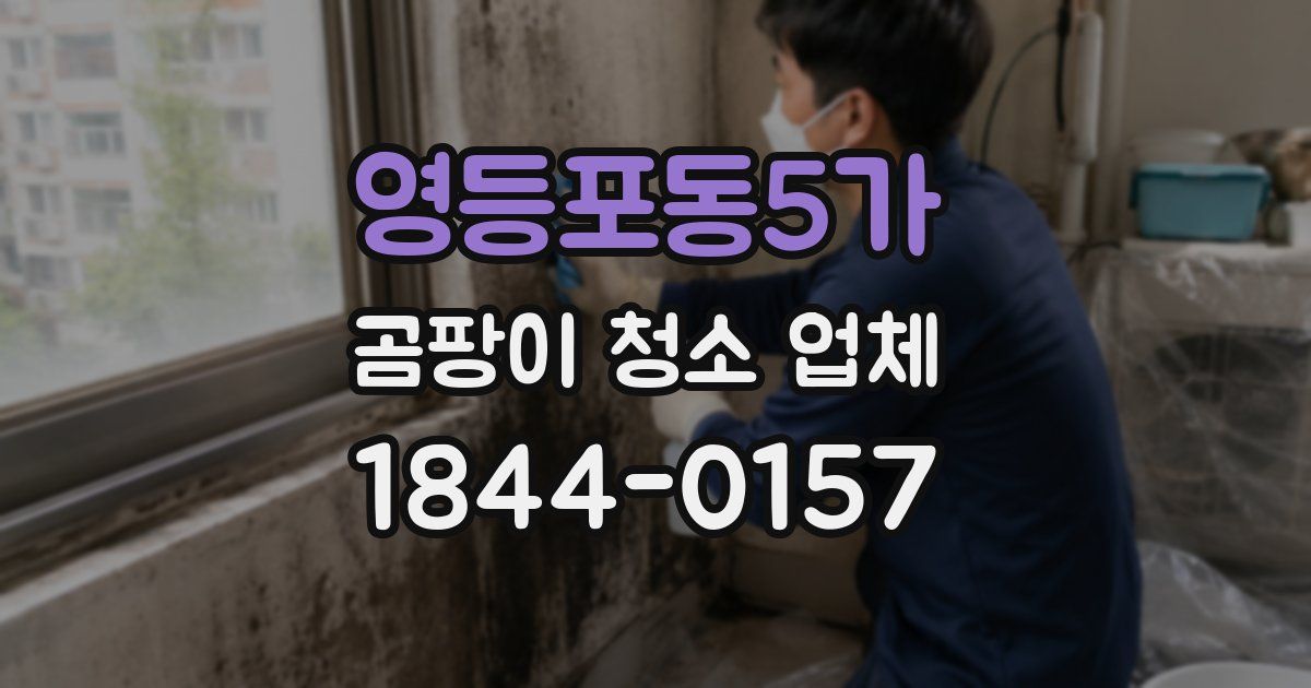 영등포동5가 곰팡이 청소 업체