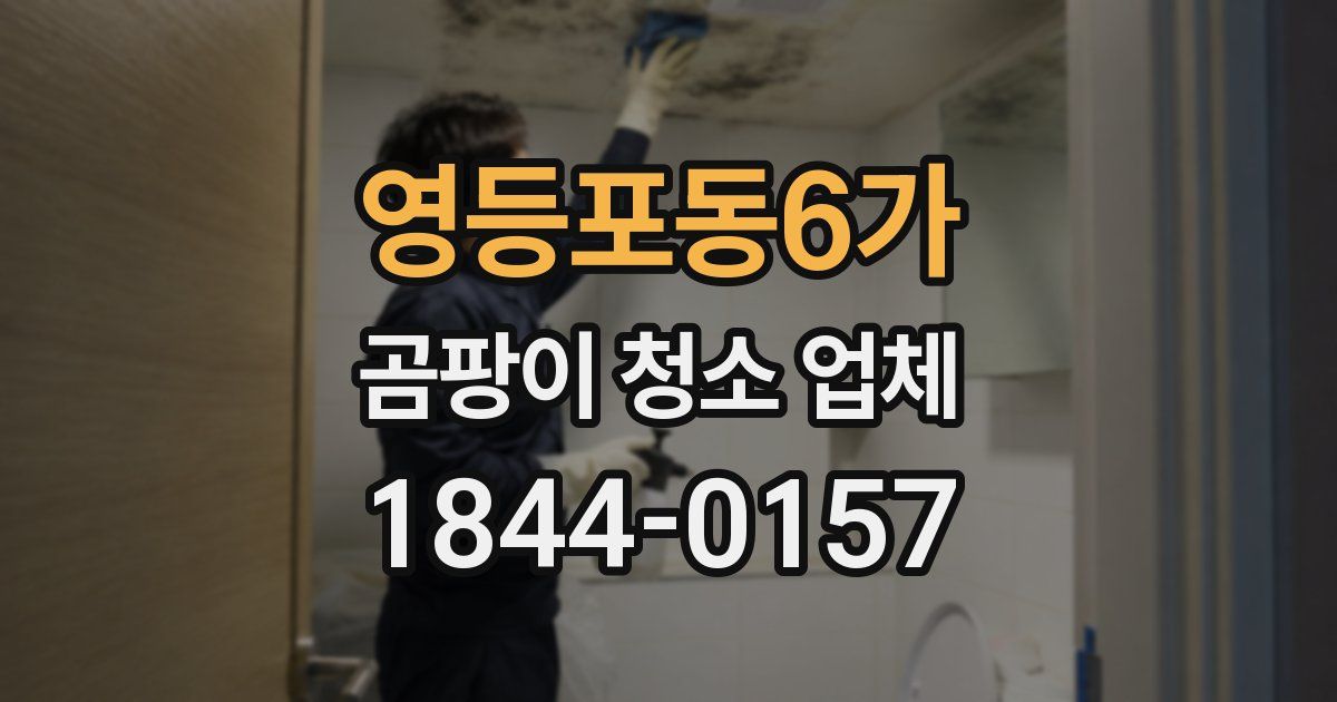 영등포동6가 곰팡이 청소 업체
