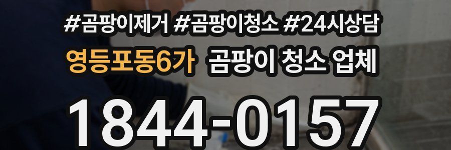 영등포동6가 곰팡이 청소 업체