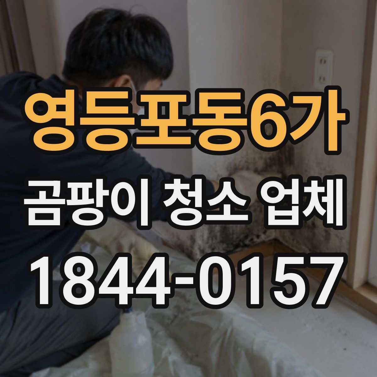 영등포동6가 곰팡이 청소 업체