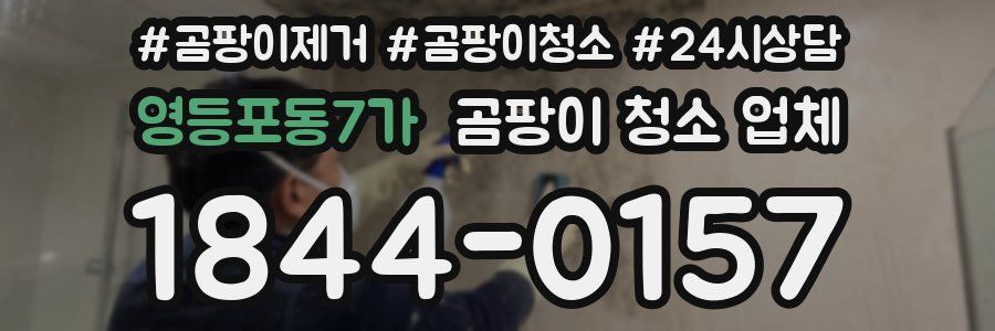 영등포동7가 곰팡이 청소 업체