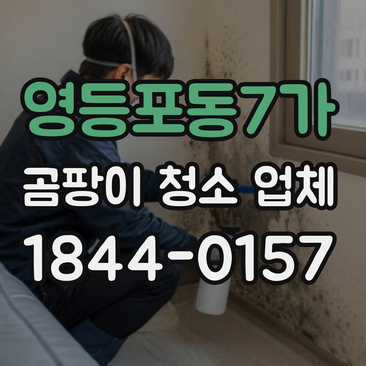 영등포동7가 곰팡이 청소 업체