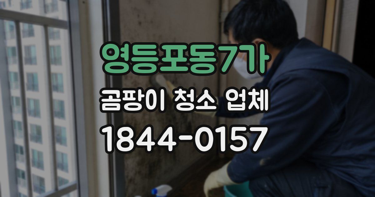 영등포동7가 곰팡이 청소 업체