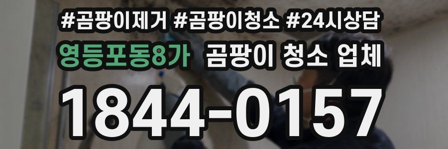 영등포동8가 곰팡이 청소 업체