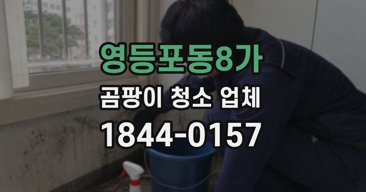 영등포동8가 곰팡이 청소 업체