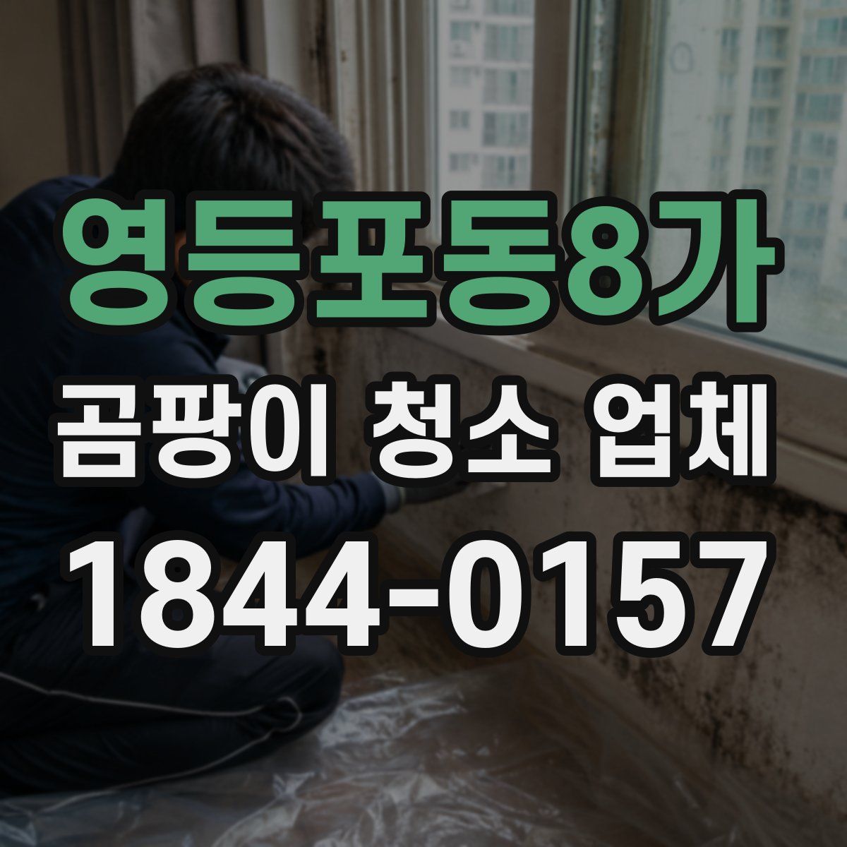 영등포동8가 곰팡이 청소 업체