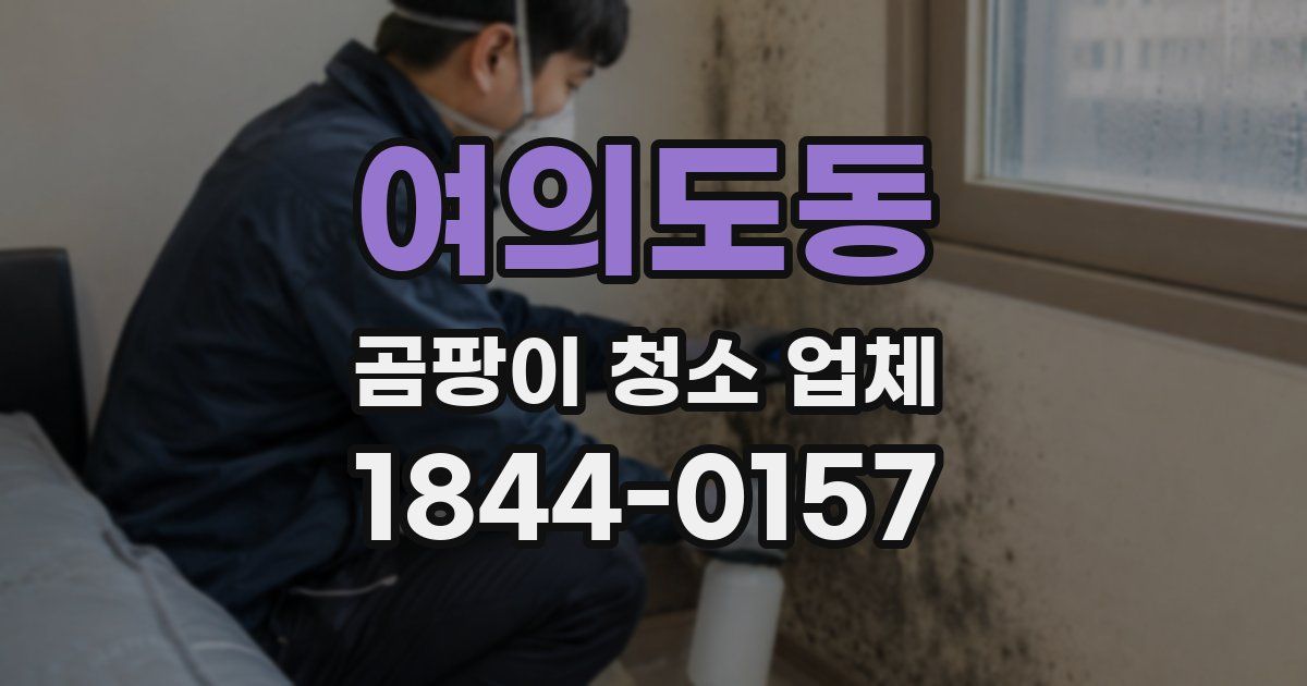 여의도동 곰팡이 청소 업체