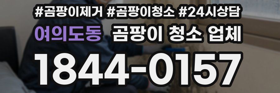 여의도동 곰팡이 청소 업체