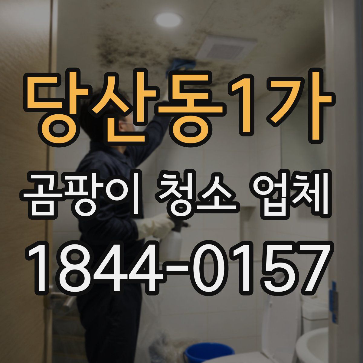 당산동1가 곰팡이 청소 업체
