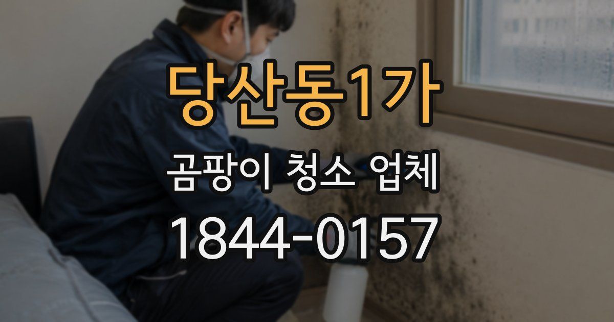 당산동1가 곰팡이 청소 업체