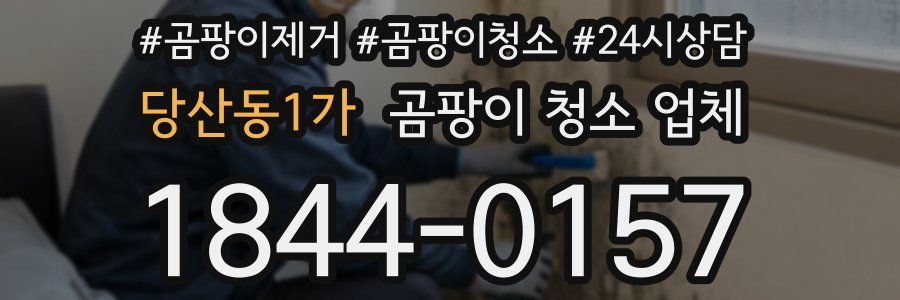 당산동1가 곰팡이 청소 업체