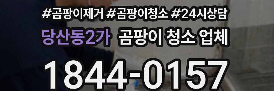 당산동2가 곰팡이 청소 업체