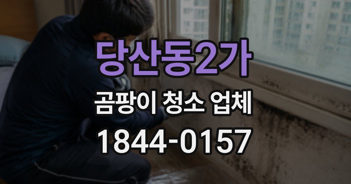 당산동2가 곰팡이 청소 업체