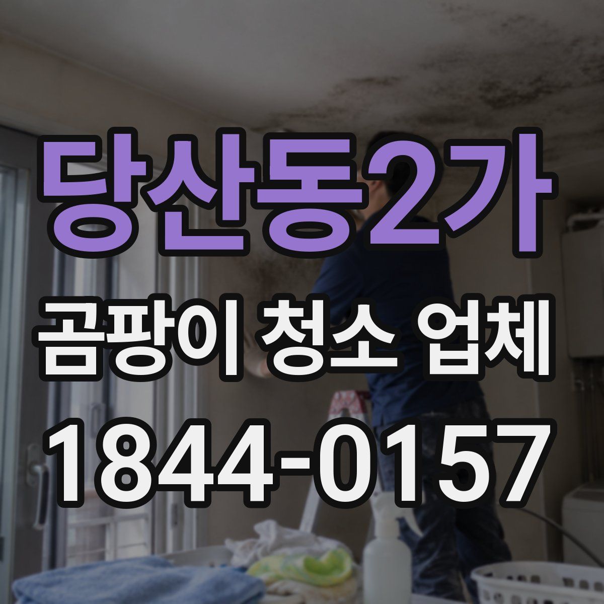 당산동2가 곰팡이 청소 업체